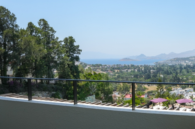 Deluxe Suit - Resim 5