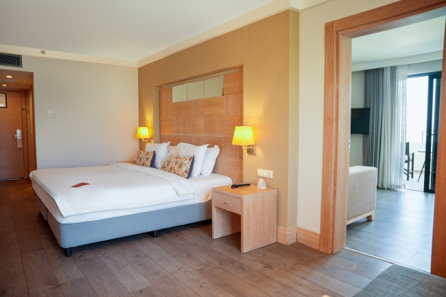 Deluxe Suite - Gallery image 3