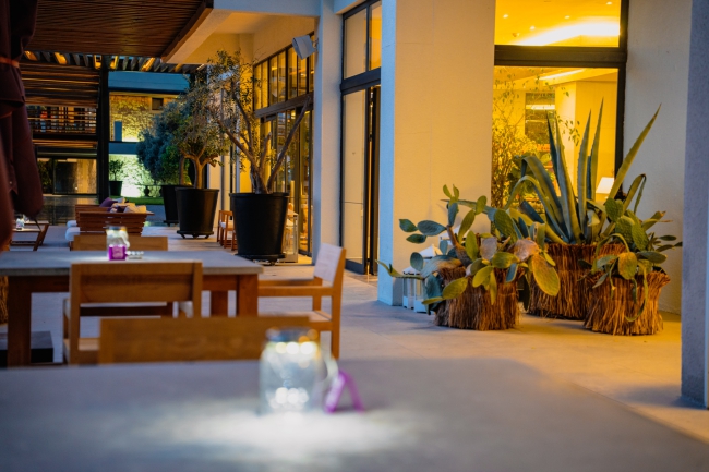 Cactus Bar - Resim 6